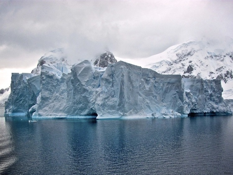 Biolog polarna: oderwanie góry lodowej to szansa na ciekawe badania