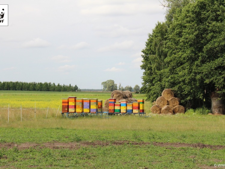 Polak zwycięzcą międzynarodowego konkursu na Rolnika Roku regionu Morza Bałtyckiego!