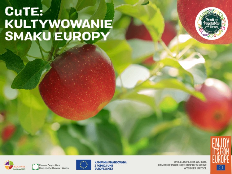 Rusza promocja polskich jabłek w ramach Kampanii CuTE: Kultywowanie smaku Europy