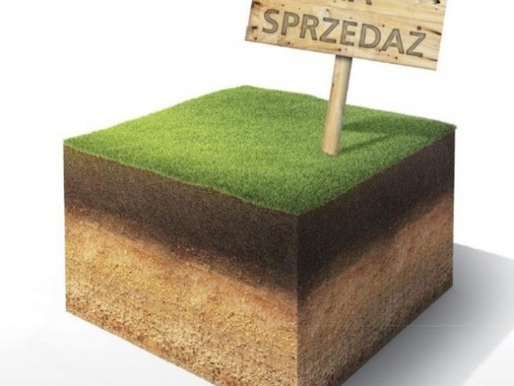 Rolnicy coraz częściej inwestują w ziemię
