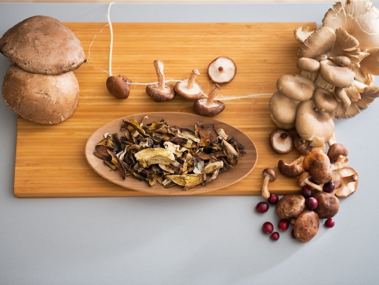 Technologia Blulog wspiera produkcję grzybów egzotycznych w Europie