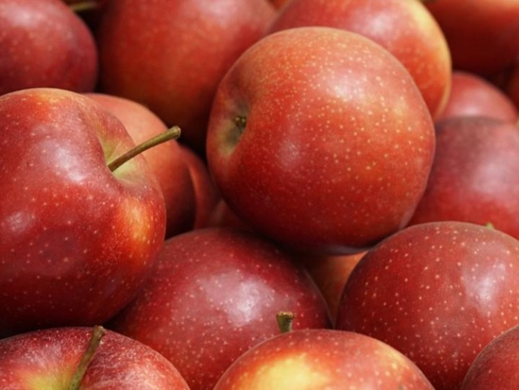 Polskie jabłka pojadą do Kolumbii
