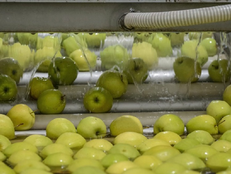 Ardanowski: tłocznie soków nie chcą pomóc w zagospodarowaniu nadwyżek jabłek