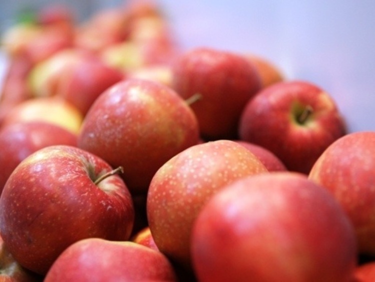 Zatwierdzenie zabiegu chłodzenia w eksporcie polskich jabłek do Indii