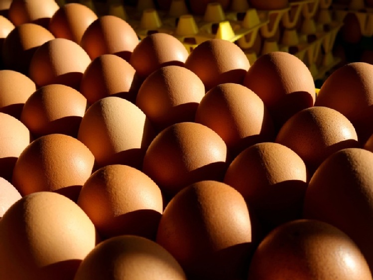 IJHARS:  Jaja nieoznakowane
