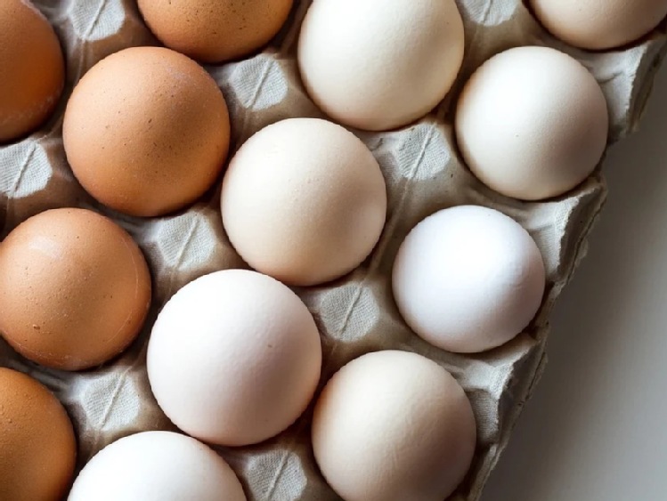 Niższa podaż jaj konsumpcyjnych na Ukrainie