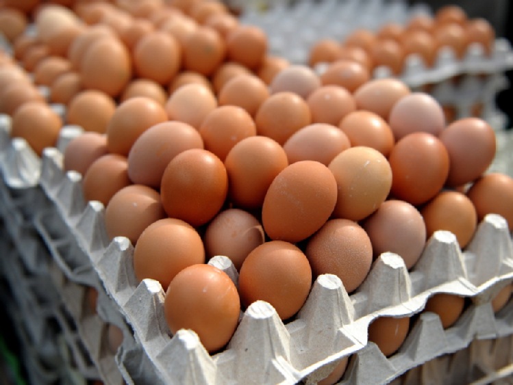 Niemcy/ Sklepy Aldi wycofują ze sprzedaży wszystkie jajka