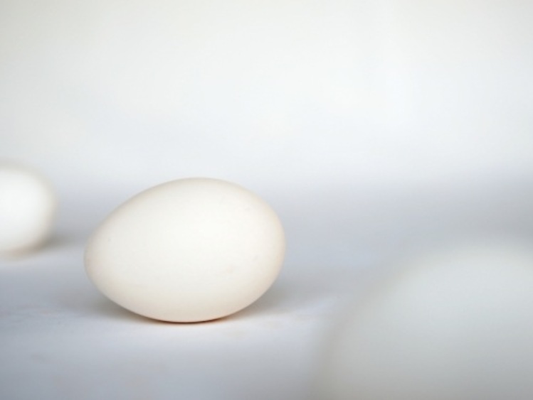 Polska dużym producentem jaj kurzych w UE