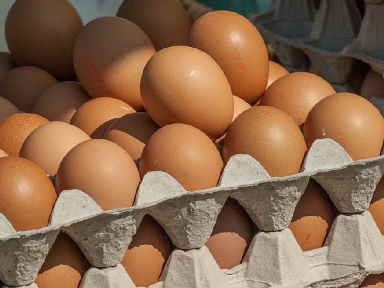Nowe znakowanie jaj we Francji od września