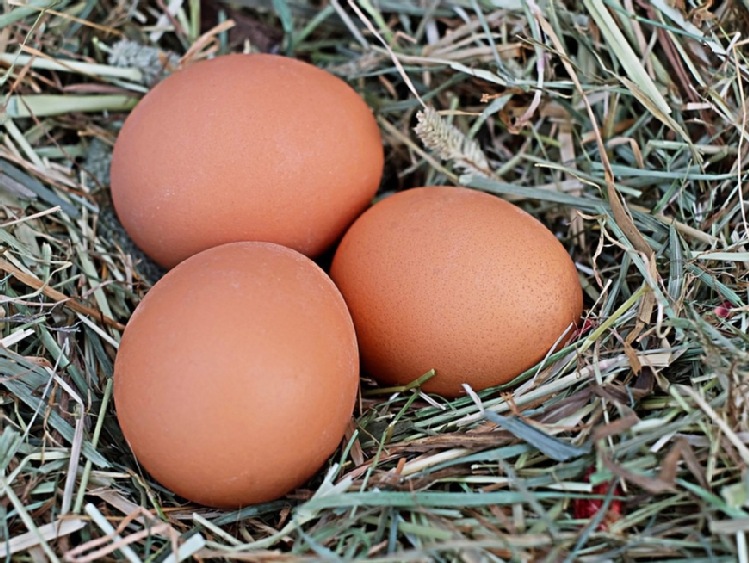 Zakaz sprzedaży drobiu i jaj na Targowisku Miejskim