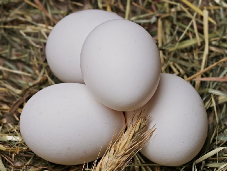 Niespotykane wzrosty cen jaj w detalu w USA