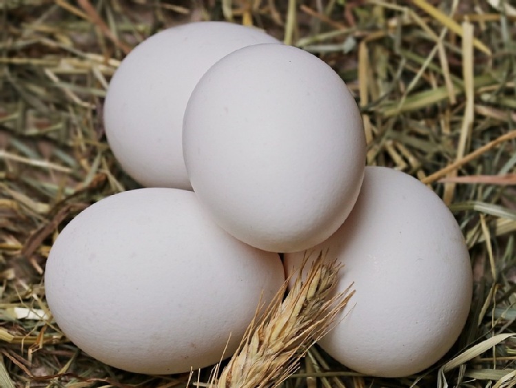 CBOS: Polacy są w stanie więcej zapłacić za produkt lepszej jakości, produkowany ekologicznie