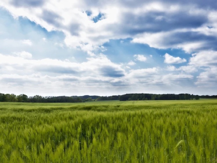 31 marca ruszają dwa nabory wniosków z PROW 2014-2020