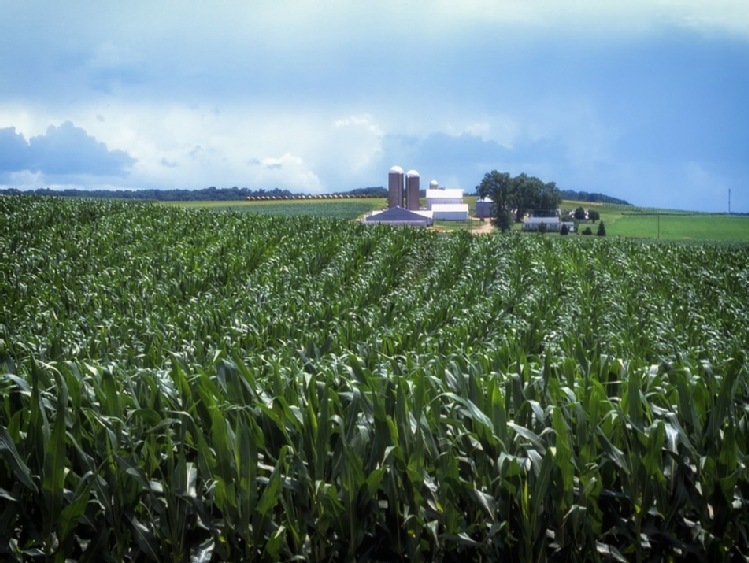 Platforma Sygnalizacji Agrofagów – użyteczne narzędzie nie tylko na czasy pandemii