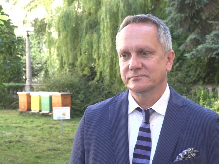 Trwają prace nad nowymi przepisami o schroniskach dla zwierząt. Planowane jest także obowiązkowe czipowanie psów i kotów