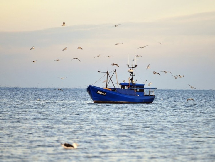 Projekt ustawy o pracy na statkach rybackich