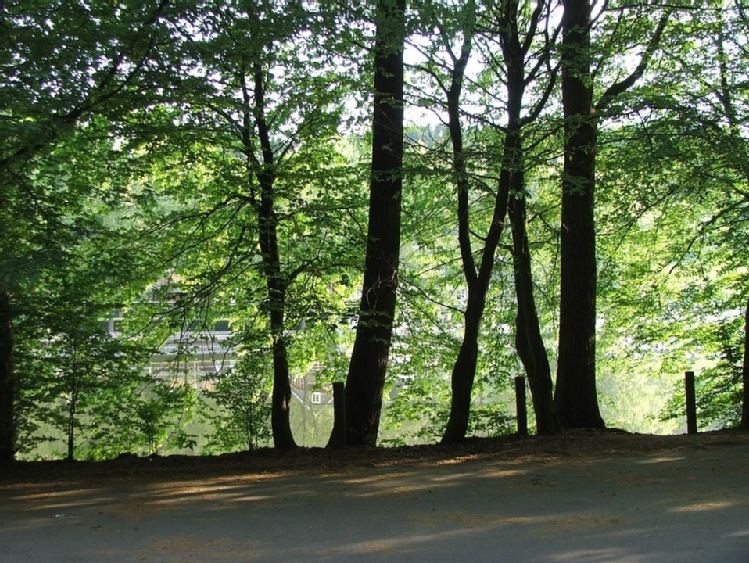 Wniosek o zwiększenie kontroli na parkingach leśnych