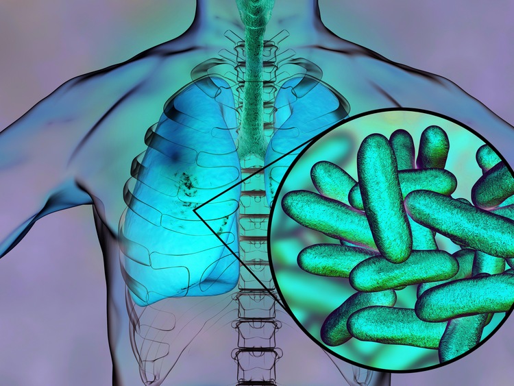 "Legionella pneumophila" pod okiem naukowców z SGGW