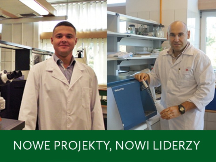 Nowe projekty - nowi liderzy