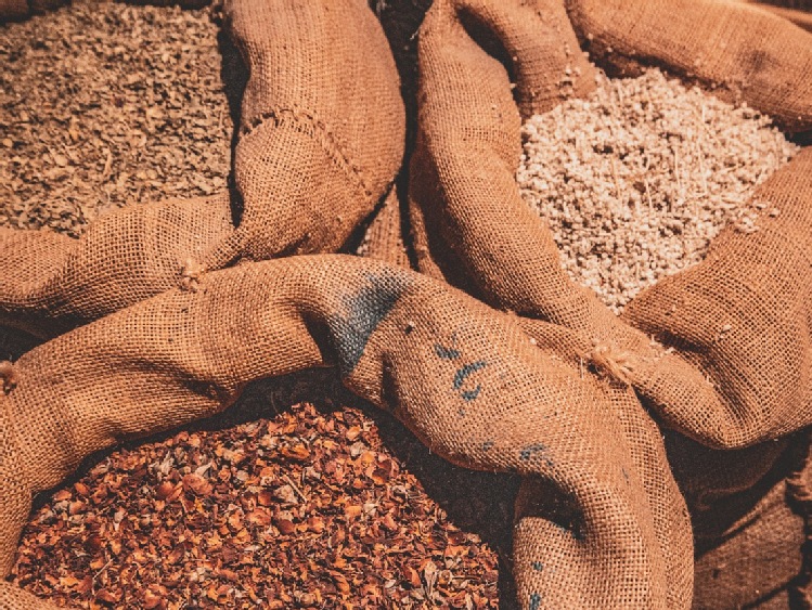 Surowce paszowe bogate w białko – ranking i zastosowanie w żywieniu