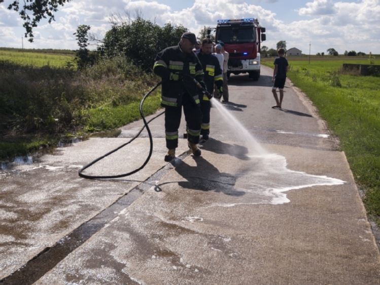 MRiRW: przestrzeganie bioasekuracji - jedynym sposobem na ASF