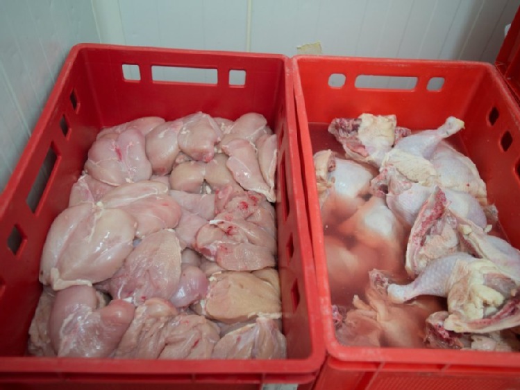 Wysyłki eksportowe mięsa drobiowego z Ukrainy
