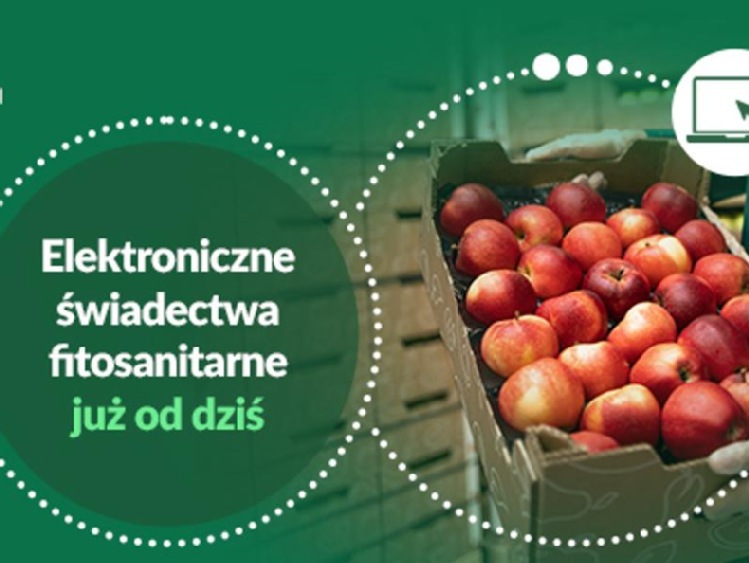 Elektroniczne świadectwa fitosanitarne wystartowały 1 lipca