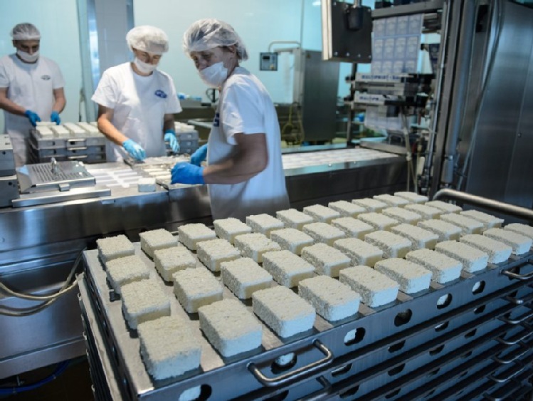 Zwiększone dostawy mleka spowodują wzrost produkcji przetworów mlecznych