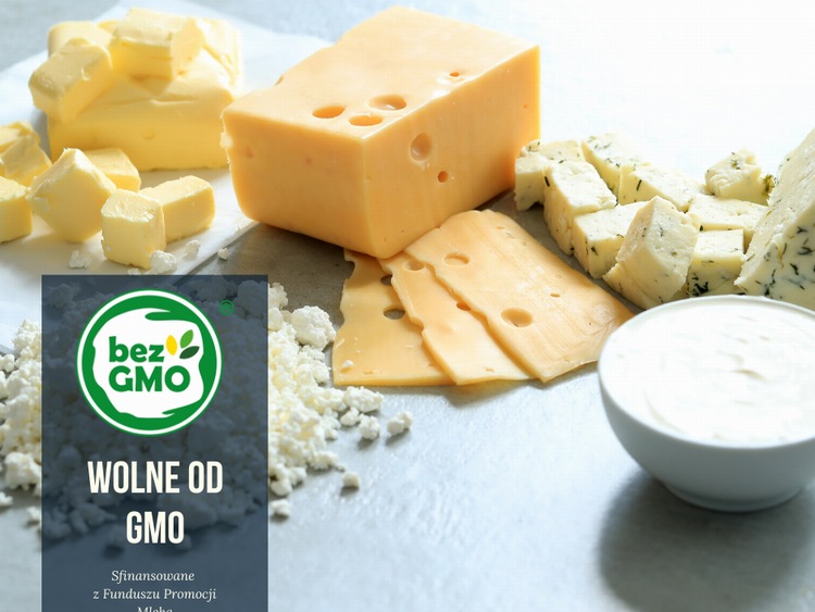 Wiodące mleczarnie produkują bez GMO