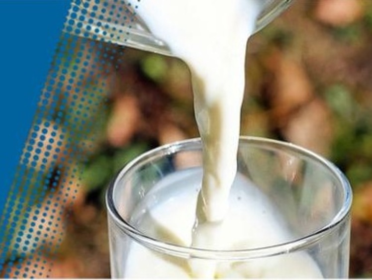Utrzymujemy eksport mleka i produktów mlecznych do Japonii