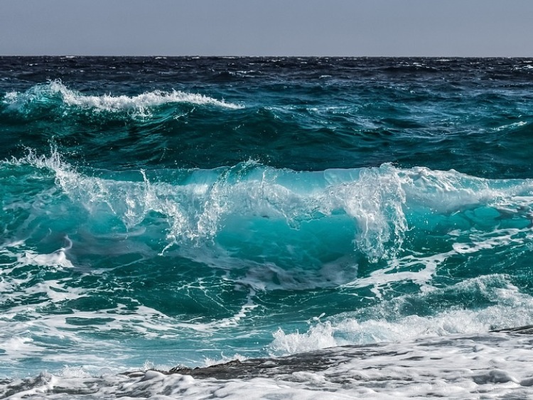 Komisja PE za zakazem dla niektórych plastików w ramach ratunku dla oceanów