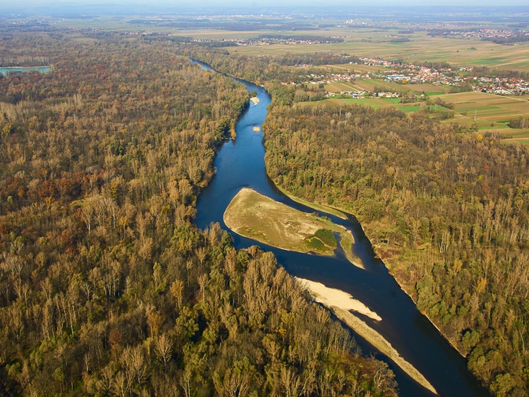 Wielki sukces! Ekosystemy słodkowodne w Europie uratowane!