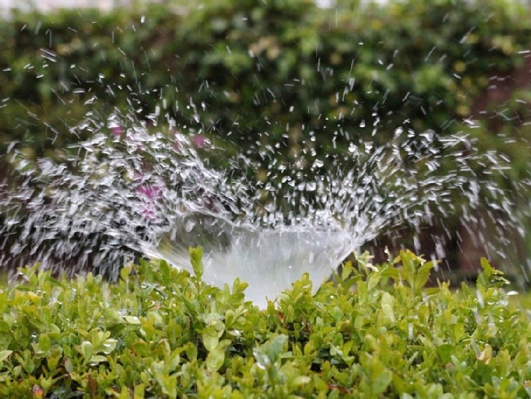 KE proponuje regulacje, by ułatwić ponowne używanie wody do nawadniania upraw