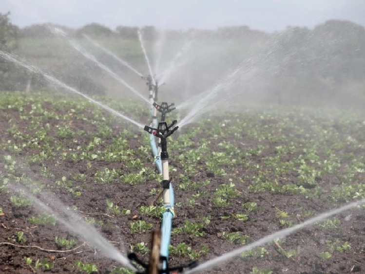 KRUS udostępnia broszurę opracowaną przez Ministerstwo Rolnictwa i Rozwoju Wsi dotyczącą gospodarowania wodą w rolnictwie w obliczu suszy