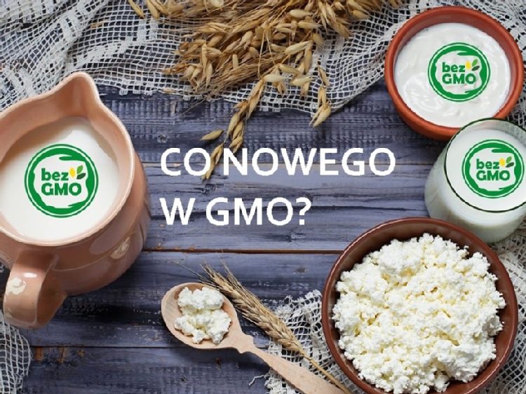 Czy te rośliny są wole od GMO