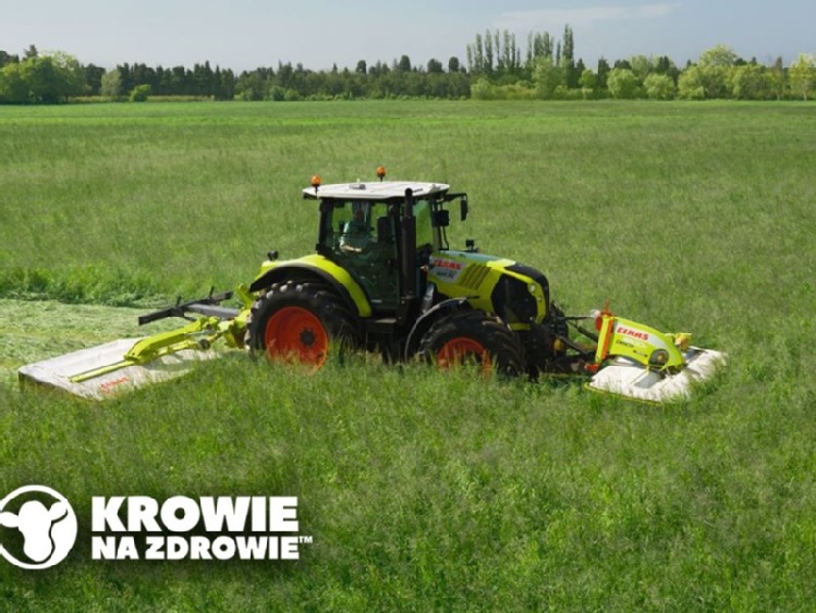 Tanie białko z pola, czyli pierwszy pokos jest najważniejszy