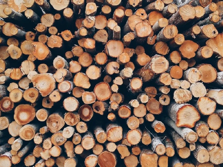 MKiŚ: Wytyczne w sprawie zakupu drewna opałowego