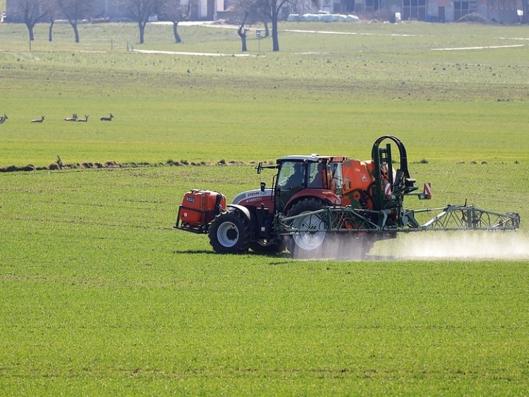 PIORiN: Bezpieczne i skuteczne  stosowanie środków ochrony roślin