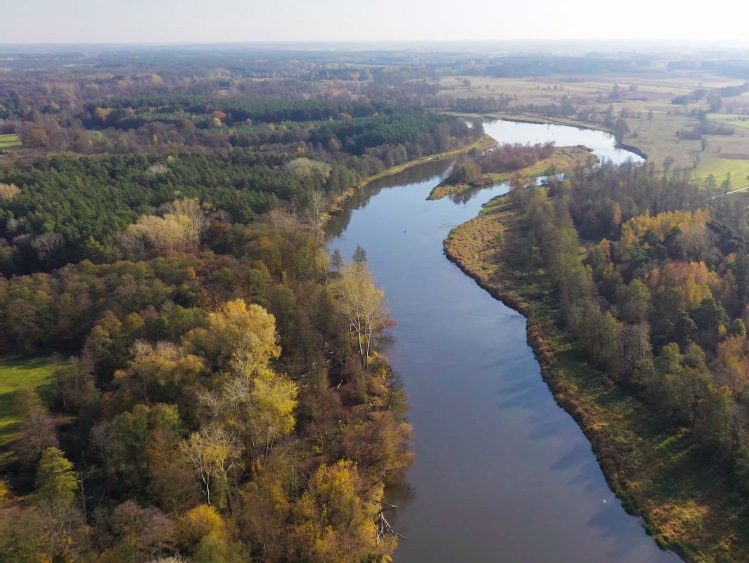Energa dba o środowisko wodne polskiej „Amazonki”