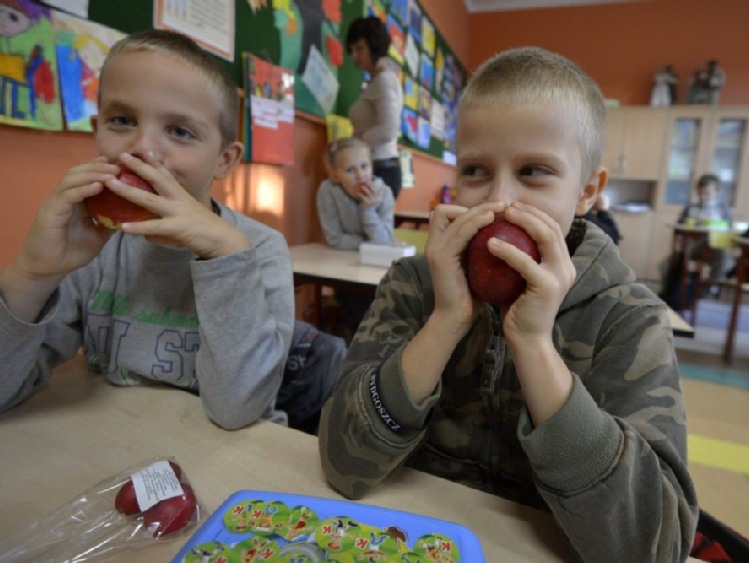 Małopolskie bez białych plam w programie Pomoc Żywnościowa 2014-2020