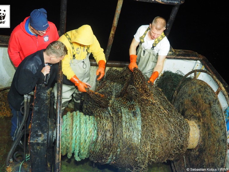 Projekt Marelitt Baltic nabiera rozpędu. 5 ton narzędzi połowowych wyłowiono podczas jednego rejsu.