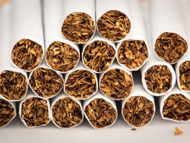Lubuskie/ SG i KAS zlikwidowały nielegalną wytwórnię papierosów
