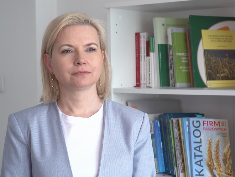 Polsce nie grożą niedobory zbóż. Pod znakiem zapytania jest jednak ich dostępność cenowa