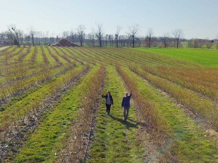 Dar plantatorów dotarł do lekarzy w Bergamo i w Turynie