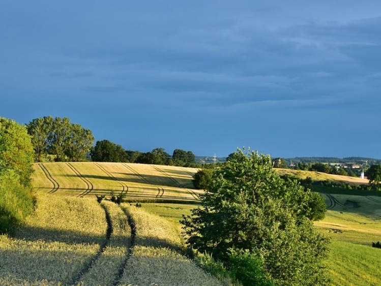 Nawet 500 tys. zł na "Inwestycje w gospodarstwach położonych na obszarach Natura 2000"