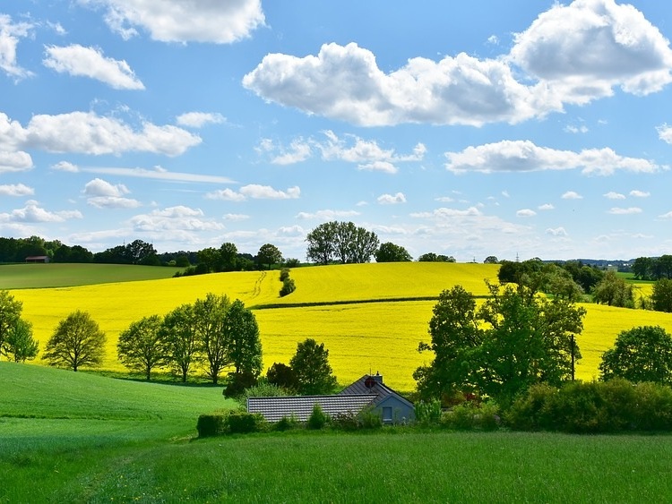 Inwestycje w gospodarstwach położonych na obszarach Natura 2000