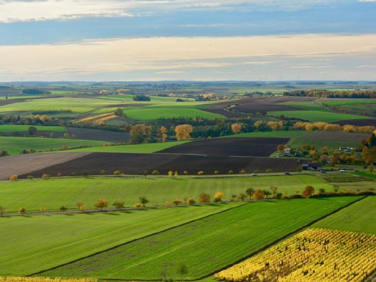 „Młodzież jest przyszłością” – konkurs „Rural Inspiration Awards”