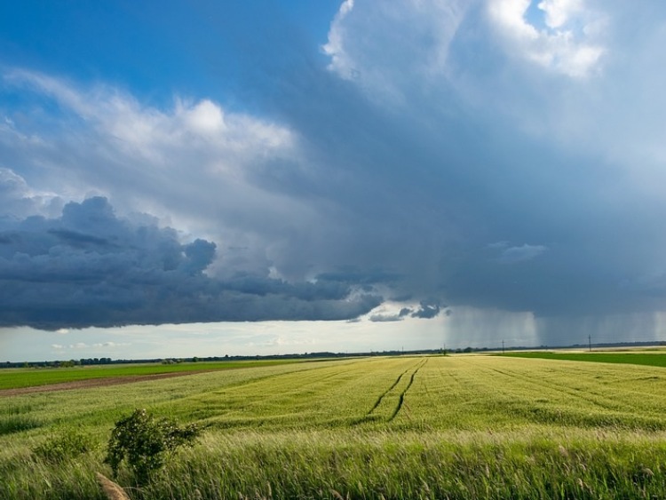 Będzie pomoc dla rolników, którzy w 2021 roku ponieśli straty w wyniku niekorzystnych zjawisk atmosferycznych