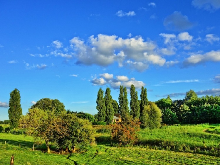 Szkolenie - Przepisy w agroturystyce