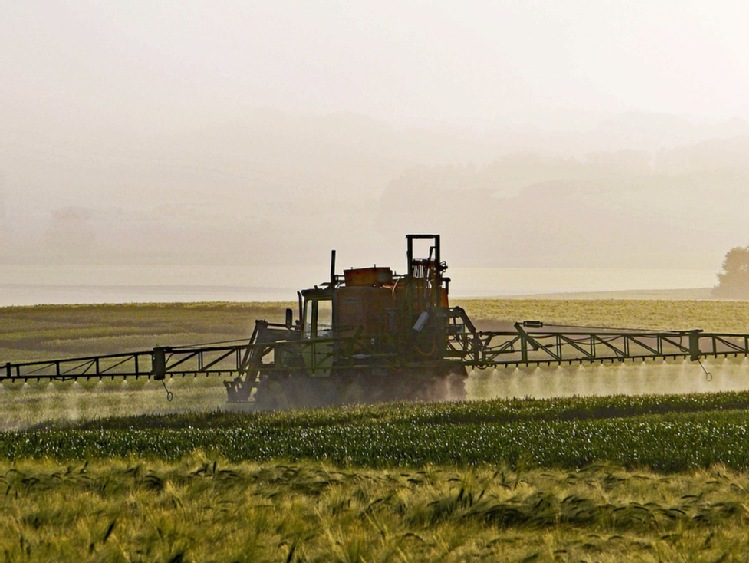 Rolnik w centrum: debata PSOR